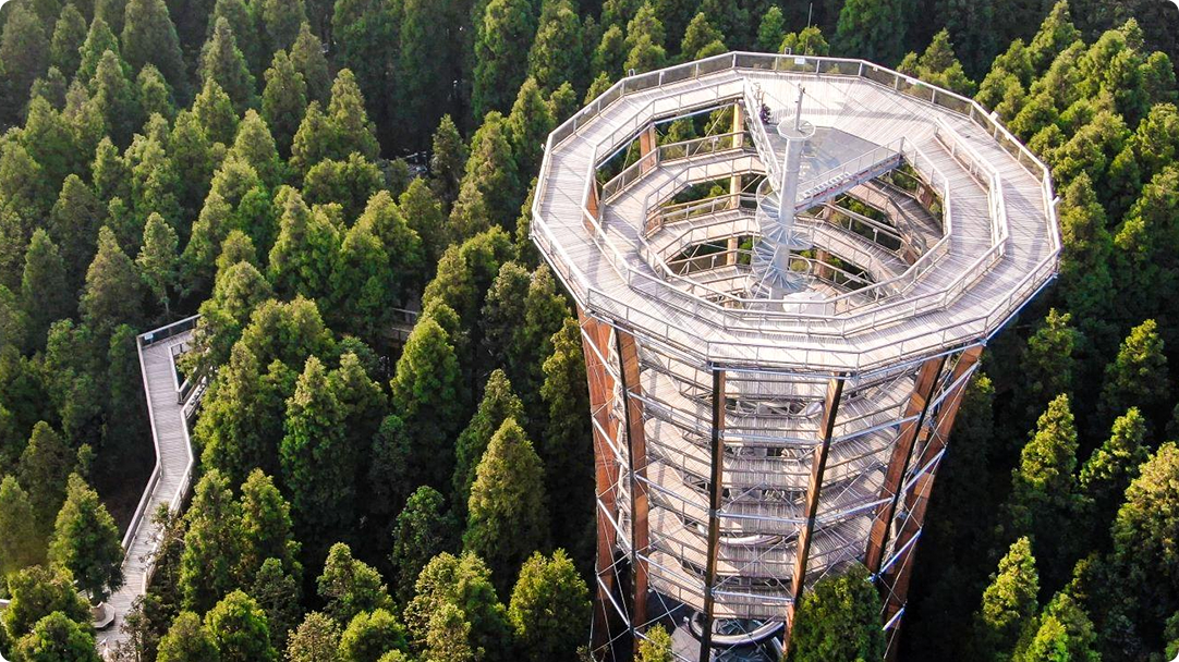 Xiannv Mountain - Tree Top Walk、重慶